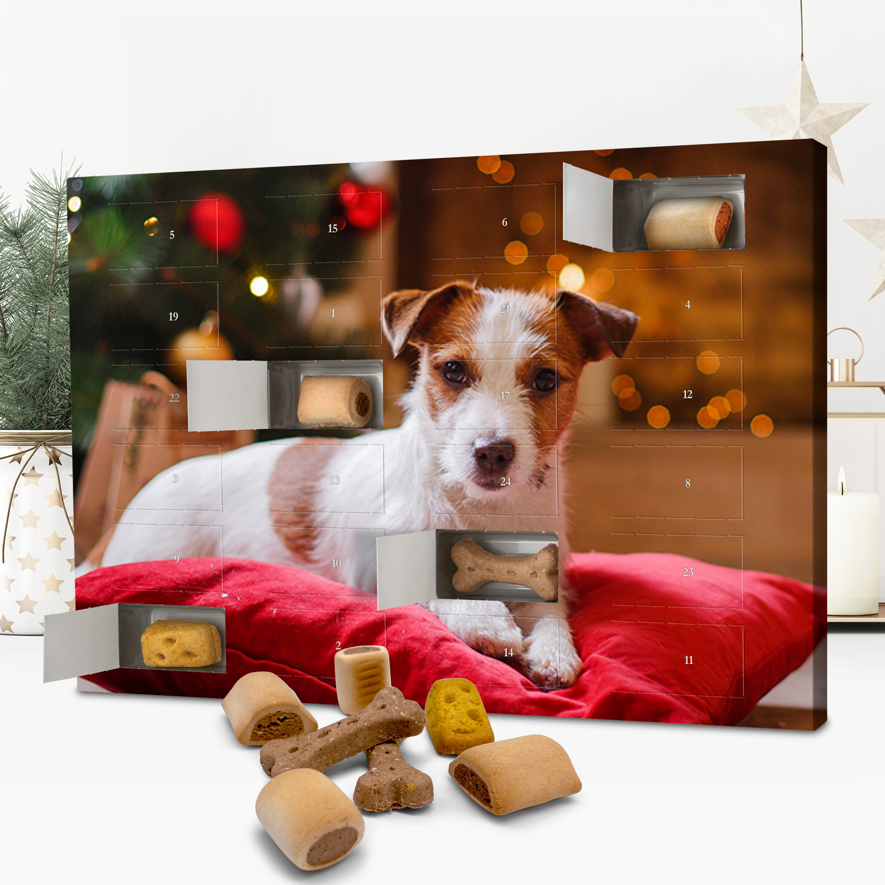Hunde-Adventskalender