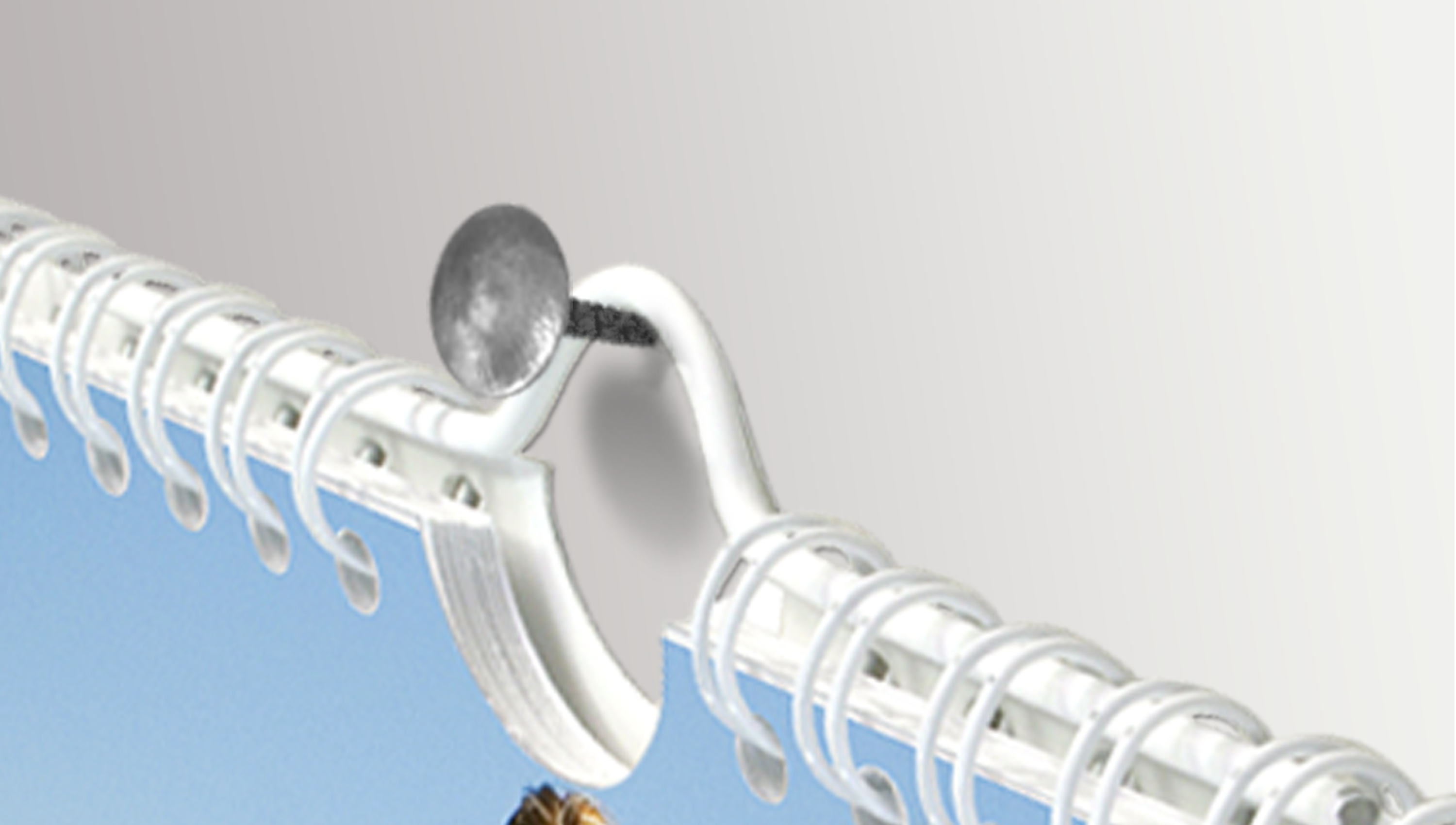 Premium-Qualität für deinen Küchenkalender